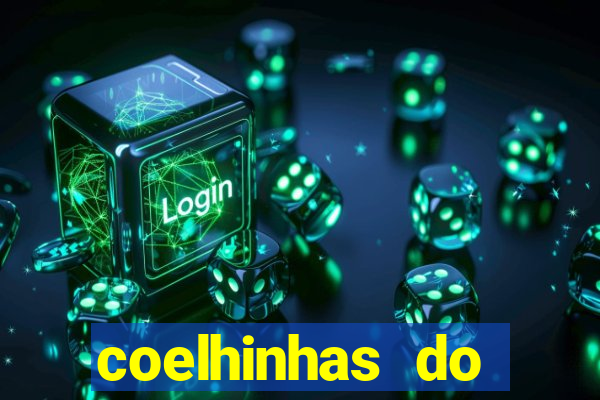 coelhinhas do brasil acompanhantes